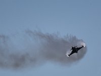 Gripen 1M9O3529