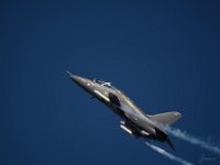 Hawk 1M9O2651