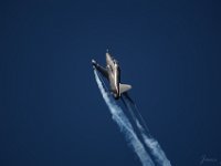 Hawk 1M9O2652