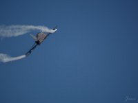 Hawk 1M9O2657