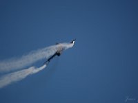 Hawk 1M9O2658