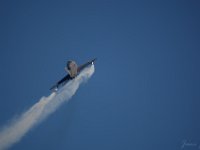 Hawk 1M9O2659