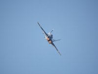 Hornet 1M9O3798