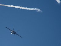 Hornet 1M9O3897