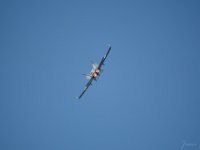 Hornet 1M9O3903