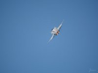 Hornet 1M9O3904