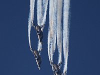 Midnight Hawks 1M9O3374