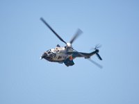 Puma 1M9O3355