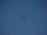 Typhoon 1M9O3257